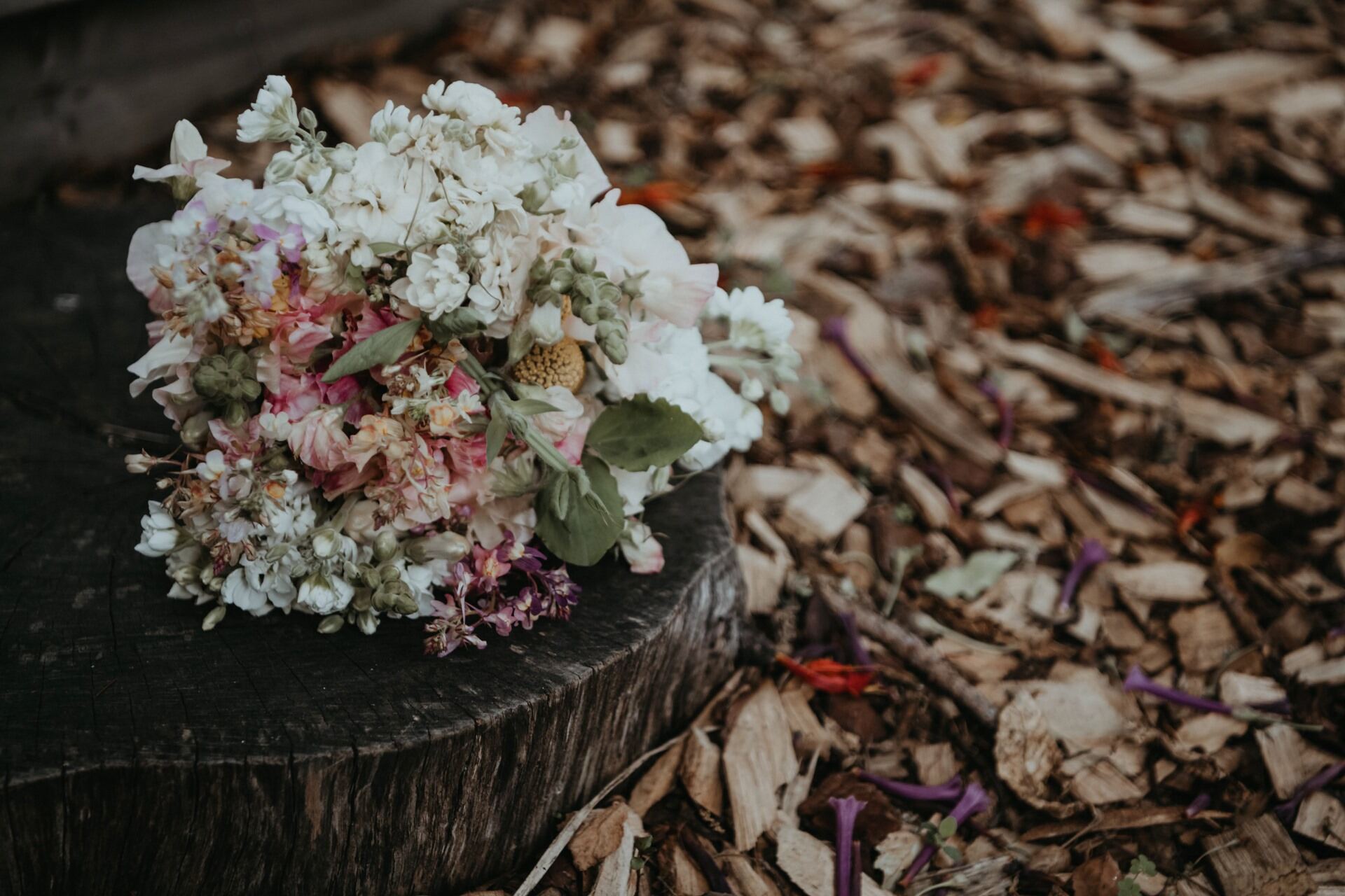 Big Day Event - Image 8