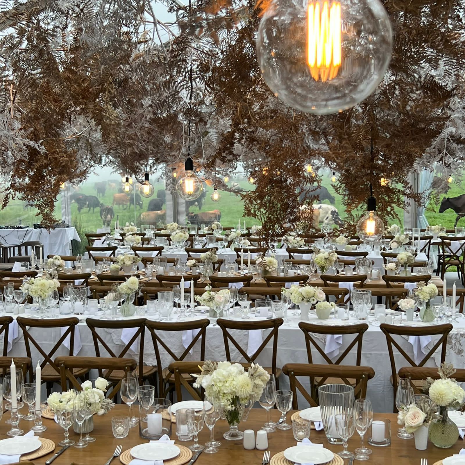 Ses and Theo - Cayman Islands testimonial - Big Day Event